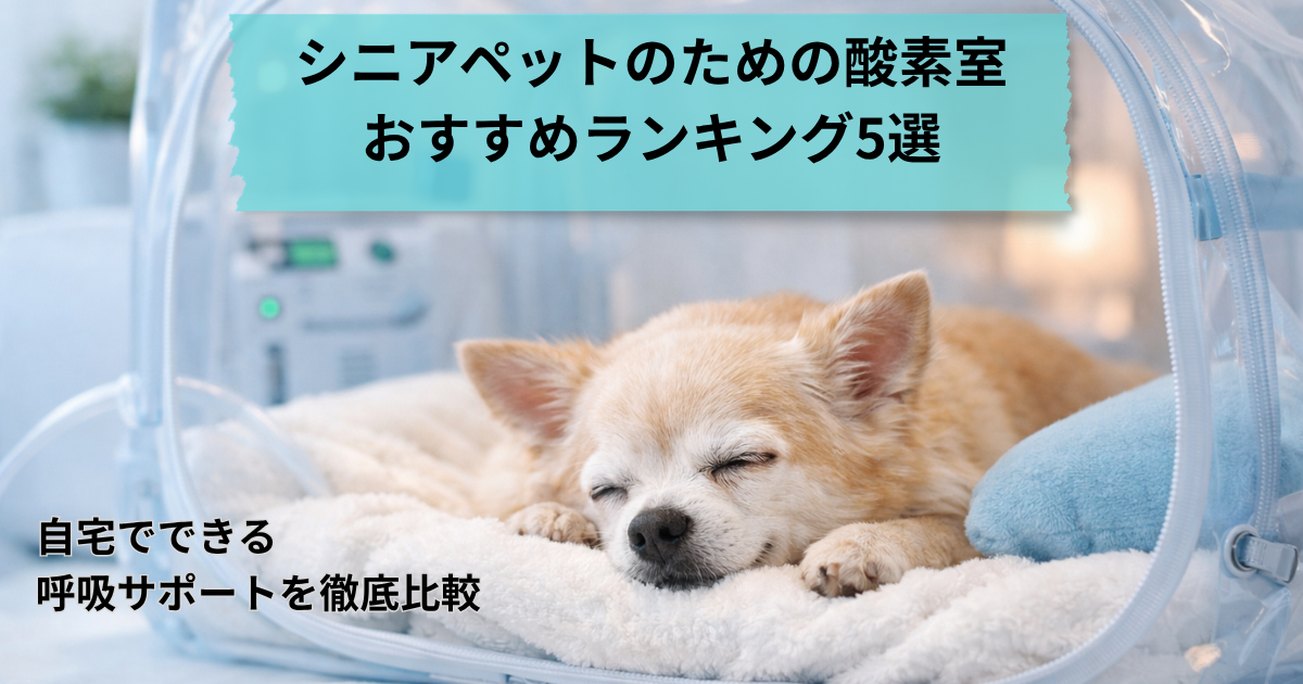 シニアペットのための酸素室おすすめランキング5選 ｜自宅でできる呼吸サポートを徹底比較